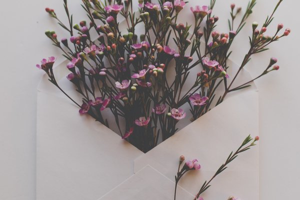 Ein geöffneter Briefumschlag in dem Wildblumen stecken