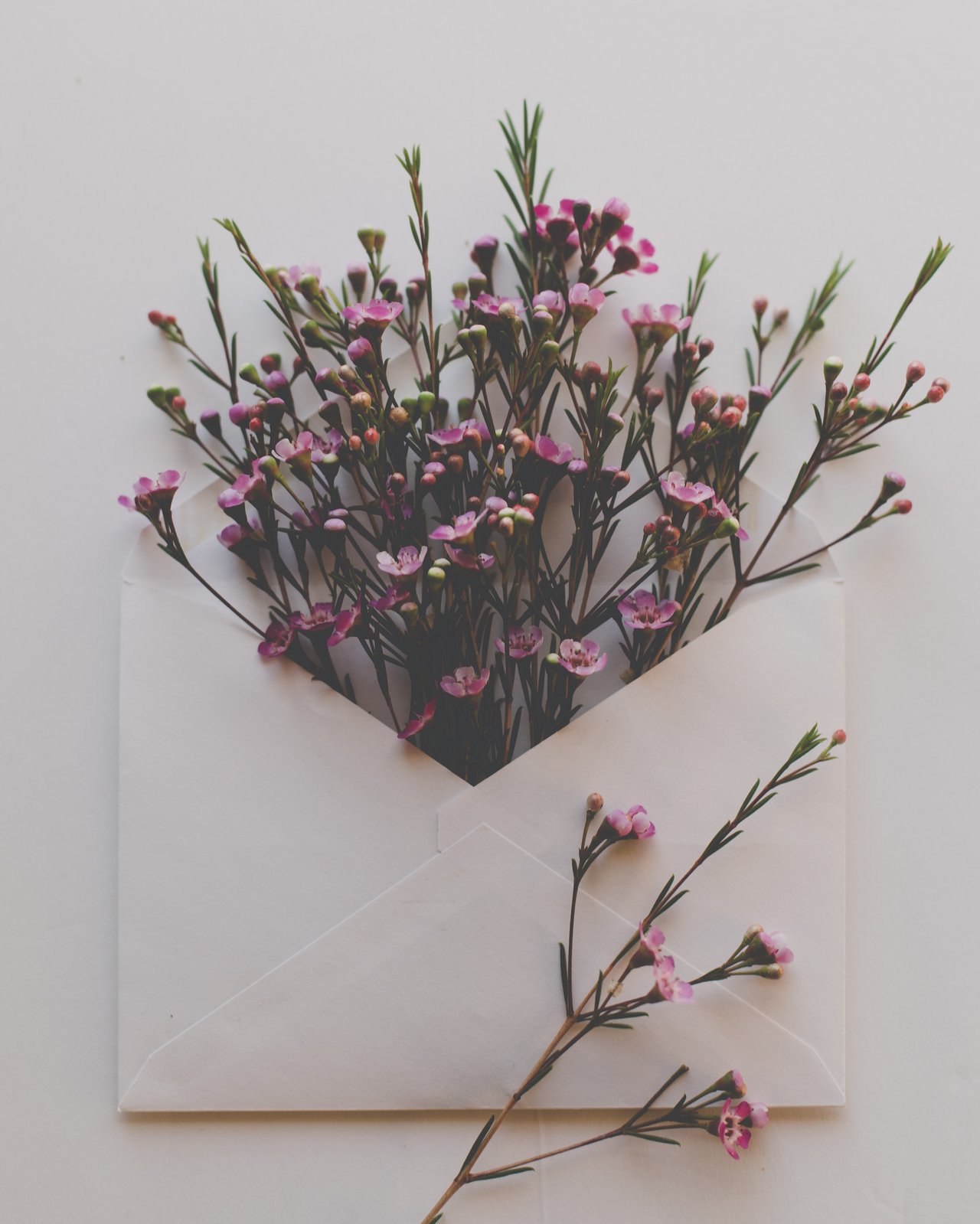 Ein geöffneter Briefumschlag in dem Wildblumen stecken